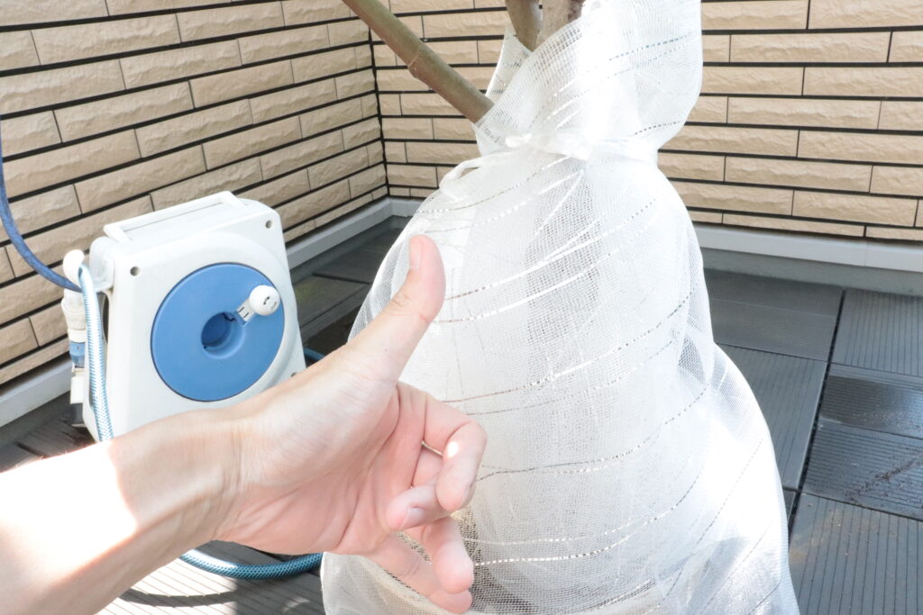 カミキリムシ対策